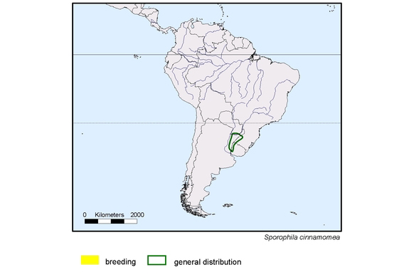 Verbreitungskarte von Sporophila cinnamomea