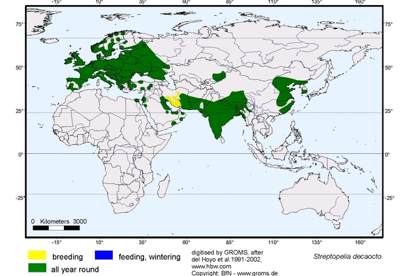 Verbreitungskarte von Streptopelia decaocto