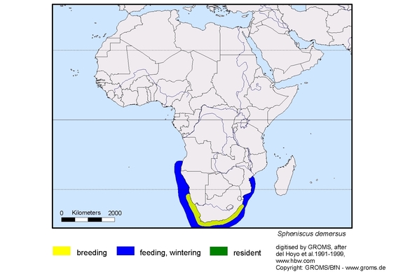 Verbreitungskarte von Spheniscus demersus