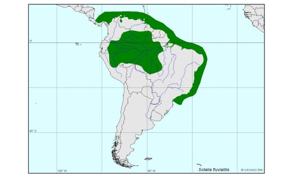 Verbreitungskarte von Sotalia fluviatilis