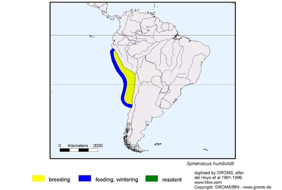 Verbreitungskarte von Spheniscus humboldti