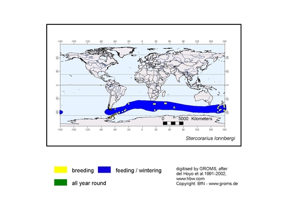 Verbreitungskarte von Stercorarius lonnbergi