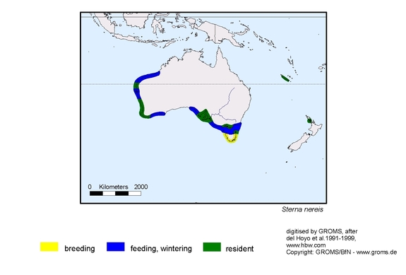 Verbreitungskarte von Sterna nereis