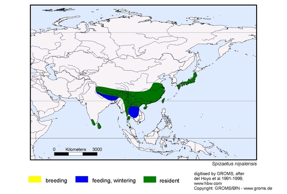 Verbreitungskarte von Spizaetus nipalensis