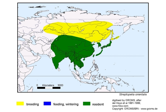 Verbreitungskarte von Streptopelia orientalis