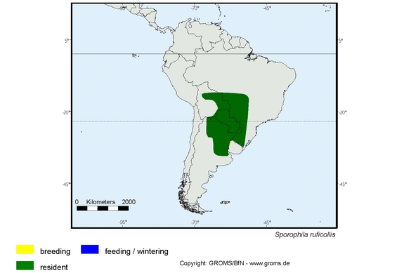 Verbreitungskarte von Sporophila ruficollis