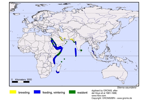 Verbreitungskarte von Sterna saundersi
