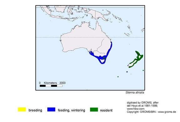 Verbreitungskarte von Sterna striata