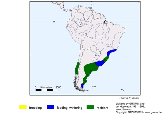 Verbreitungskarte von Sterna trudeaui