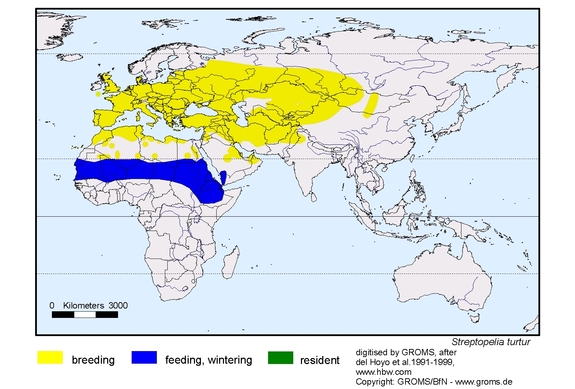 Verbreitungskarte von Streptopelia turtur