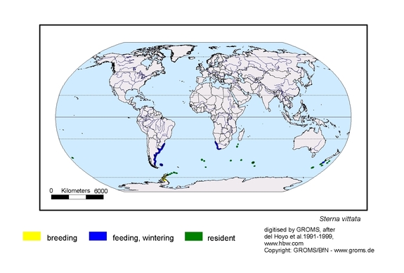 Verbreitungskarte von Sterna vittata