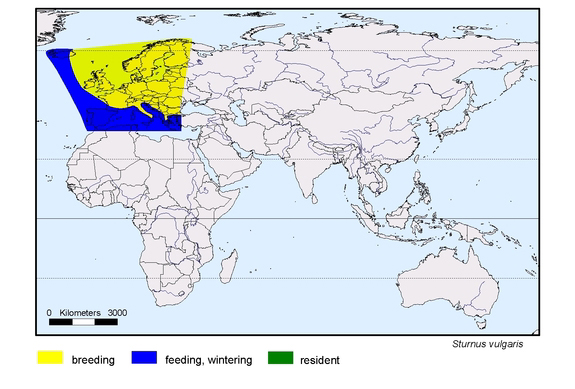 Verbreitungskarte von Sturnus vulgaris