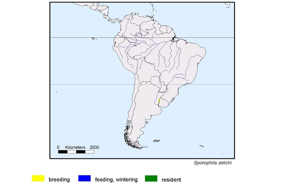 Verbreitungskarte von Sporophila zelichi