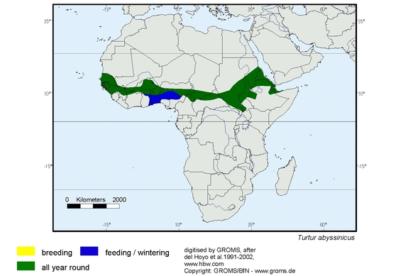 Verbreitungskarte von Turtur abyssinicus