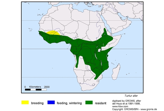 Verbreitungskarte von Turtur afer