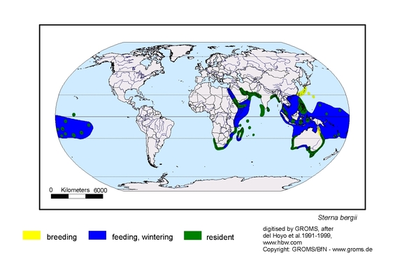 Verbreitungskarte von Sterna bergii