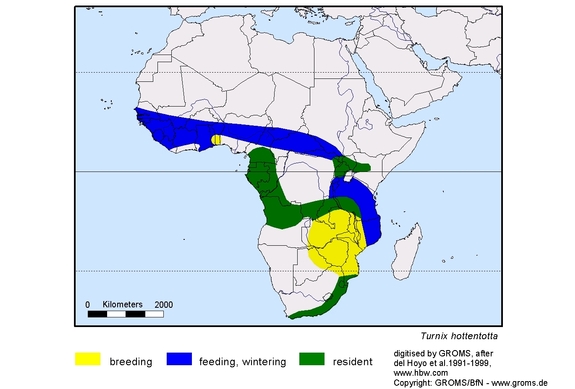 Verbreitungskarte von Turnix hottentotta