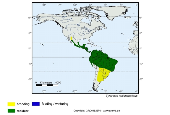 Verbreitungskarte von Tyrannus melancholicus