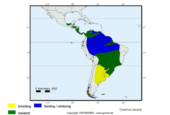 Verbreitungskarte von Tyrannus savana