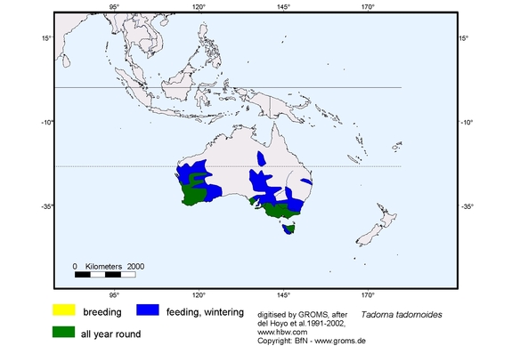 Verbreitungskarte von Tadorna tadornoides