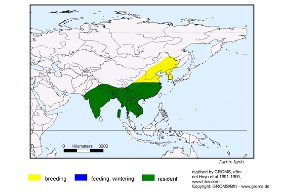 Verbreitungskarte von Turnix tanki