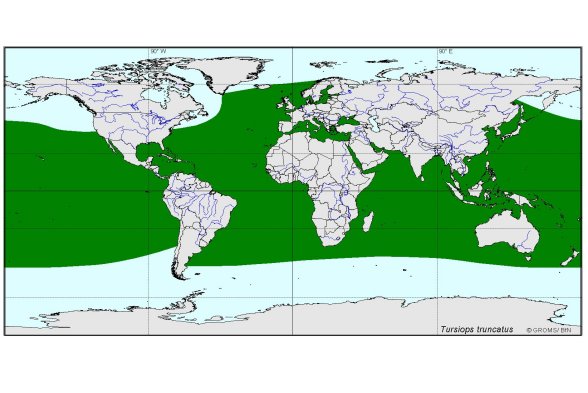 Verbreitungskarte von Tursiops truncatus