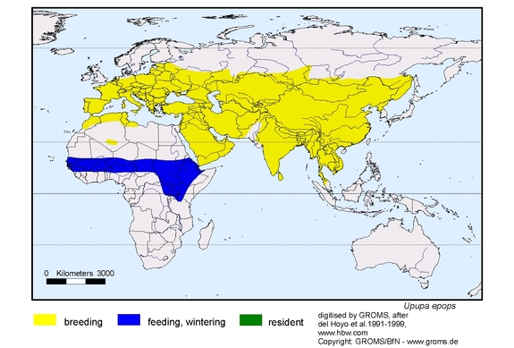 Verbreitungskarte von Upupa epops