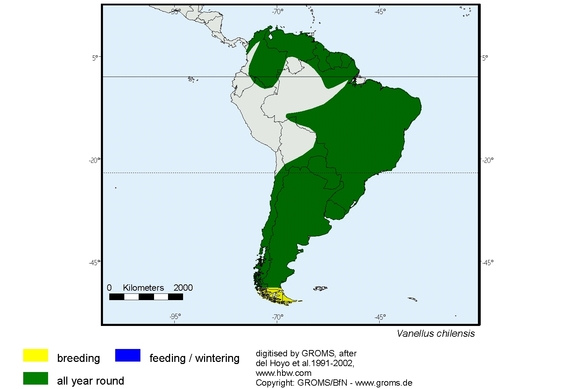 Verbreitungskarte von Vanellus chilensis