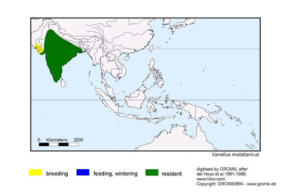 Verbreitungskarte von Vanellus malabaricus