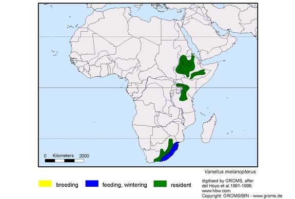 Verbreitungskarte von Vanellus melanopterus