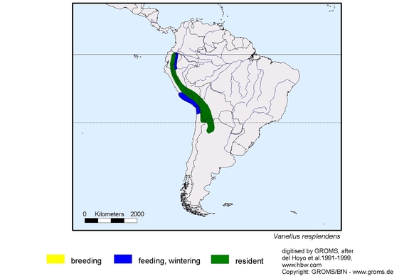 Verbreitungskarte von Vanellus resplendens