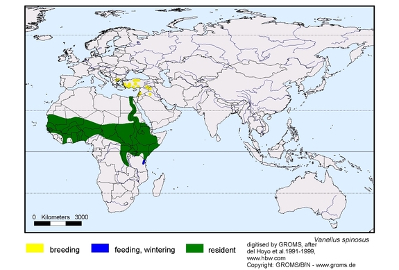 Verbreitungskarte von Vanellus spinosus