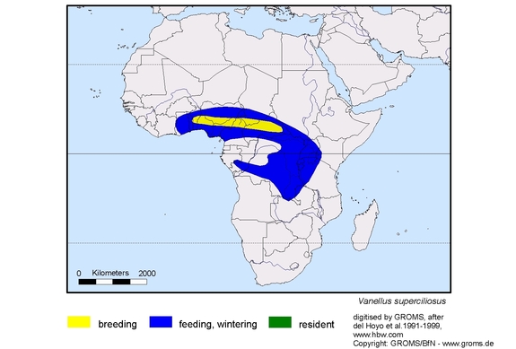 Verbreitungskarte von Vanellus superciliosus