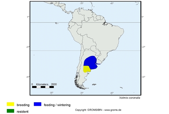 Verbreitungskarte von Xolmis coronata