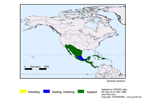 Verbreitungskarte von Zenaida asiatica