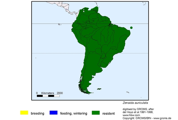 Verbreitungskarte von Zenaida auriculata