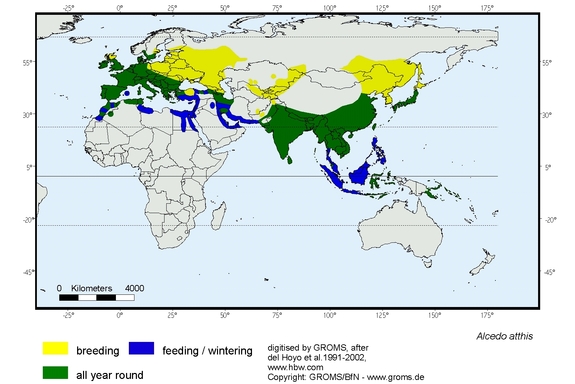 map about the distribution of Alcedo atthis