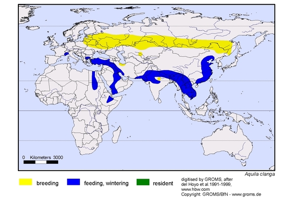 map about the distribution of Aquila clanga