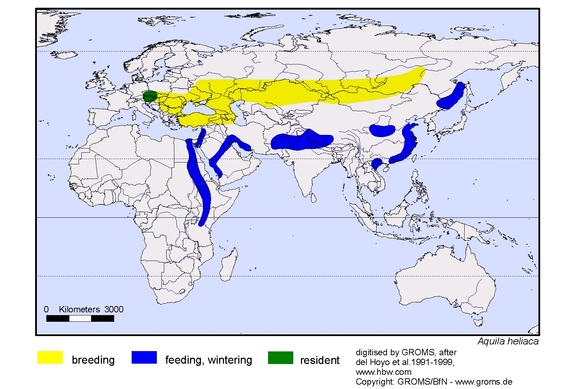 distribution map of Aquila heliaca