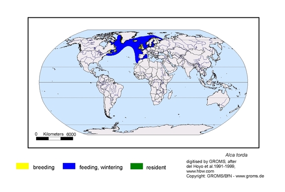 map about the distribution of Alca torda