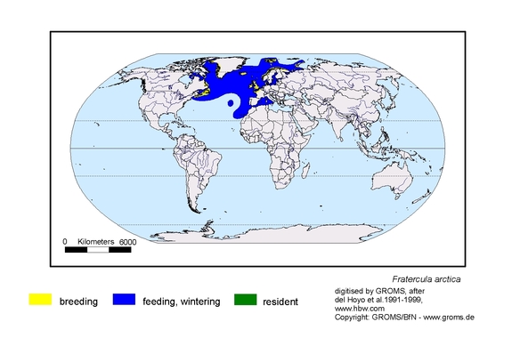 distribution map of Fratercula arctica