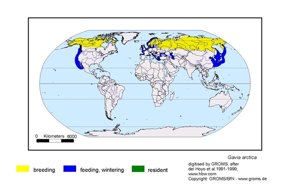  map about the distribution of Gavia arctica