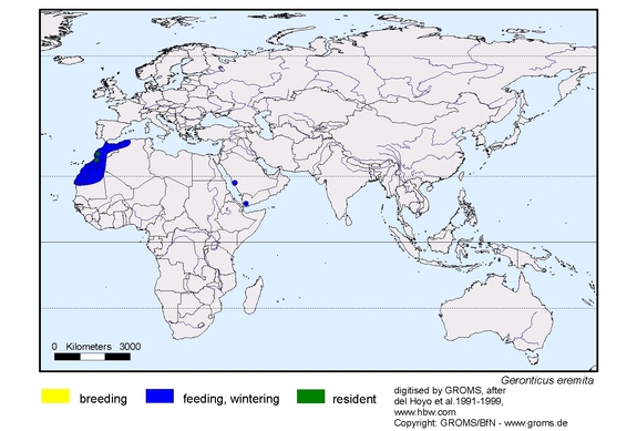 map about the distribution of Geronticus eremita