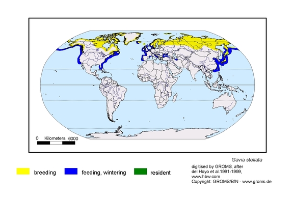  map about the distribution of Gavia stellata