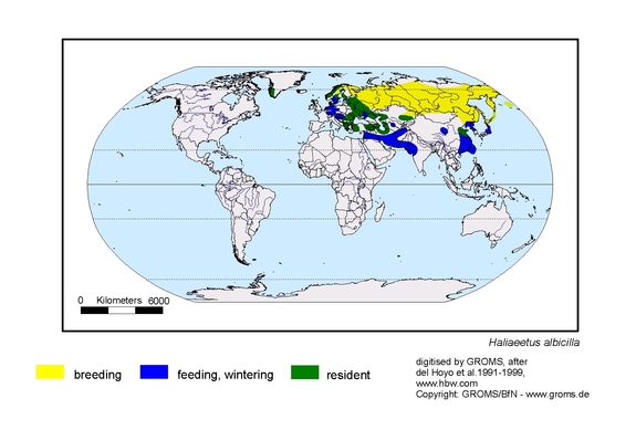  map about the distribution of Haliaeetus albicilla