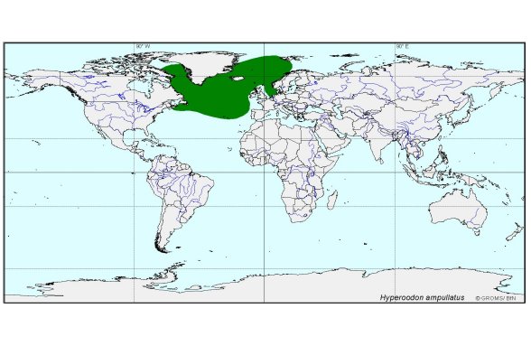  distributionmap of Hyperoodon ampullatus