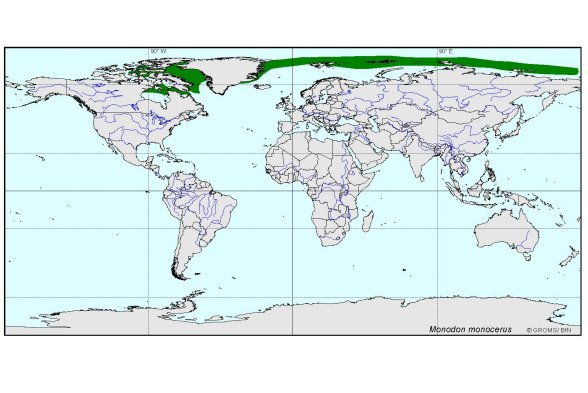  distributionmap of Monodon monoceros