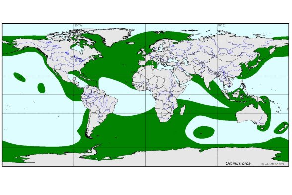  distributionmap of Orcinus orca