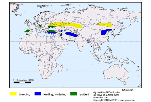  map about the distribution of Otis tarda