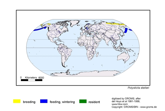  map about the distribution of Polysticta stelleri